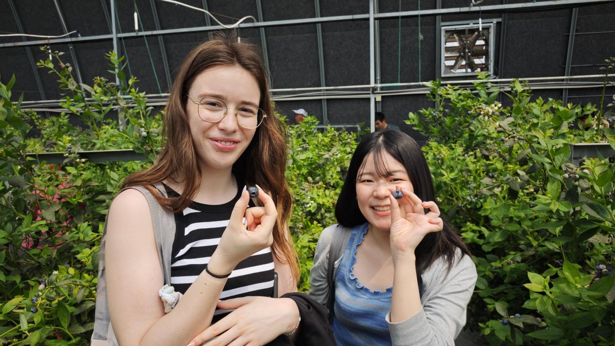 微信图片_20250427113411(1)